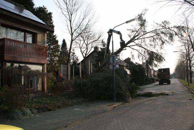 Verwijderen van bomen in Nijmgen